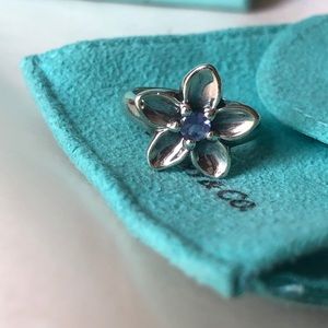 Tiffany & Co. Sterling Silver, Purple Lolite Ring